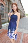  Ladies Dress,FT14066